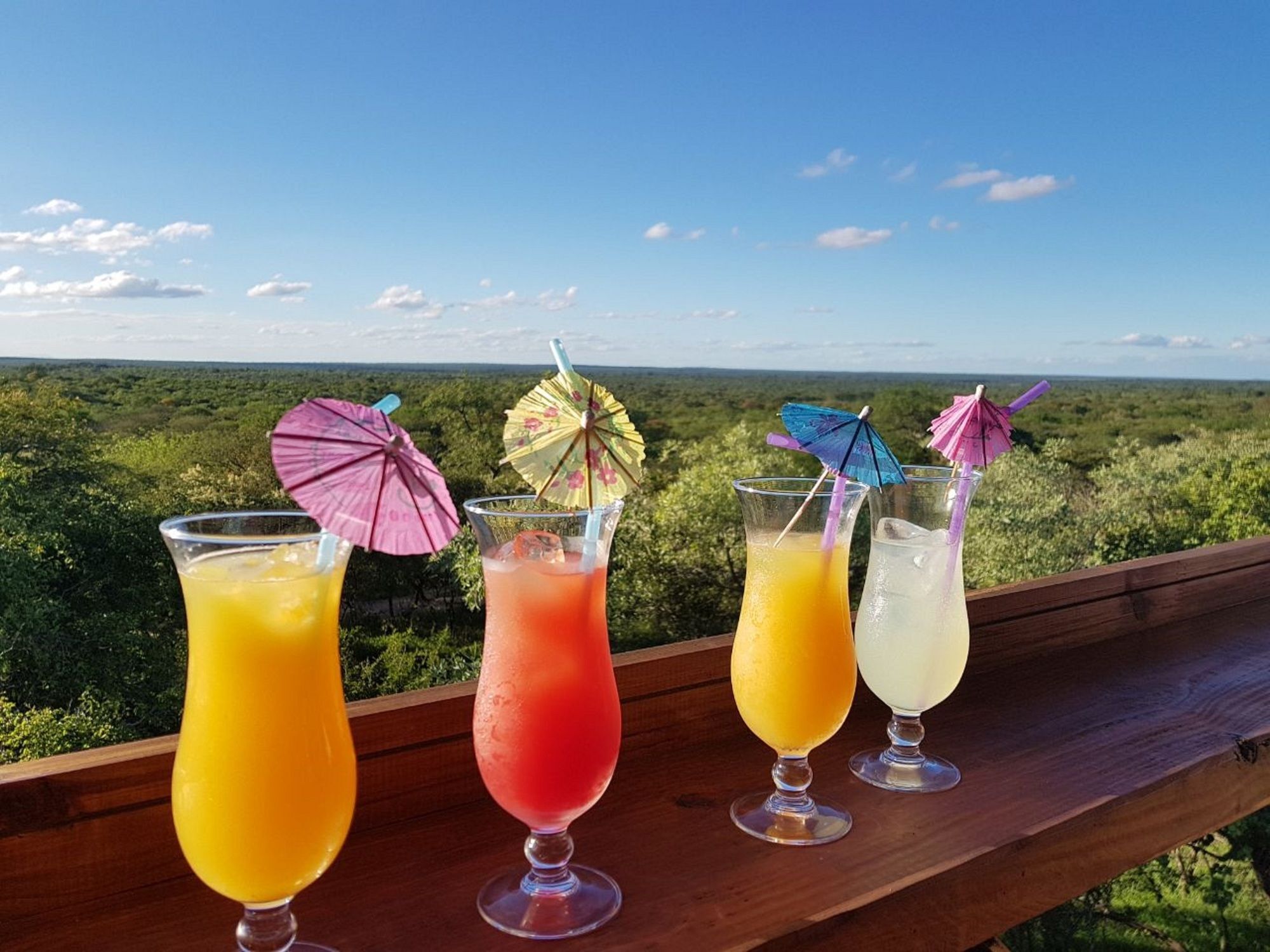 Thornhill Safari Lodge 侯斯普瑞特 外观 照片