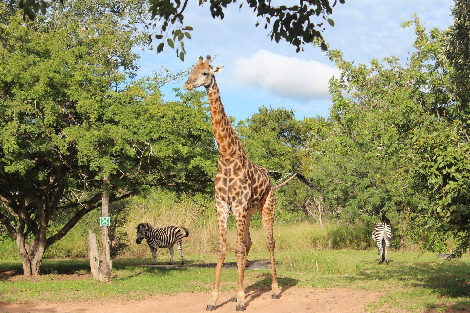 Thornhill Safari Lodge 侯斯普瑞特 外观 照片