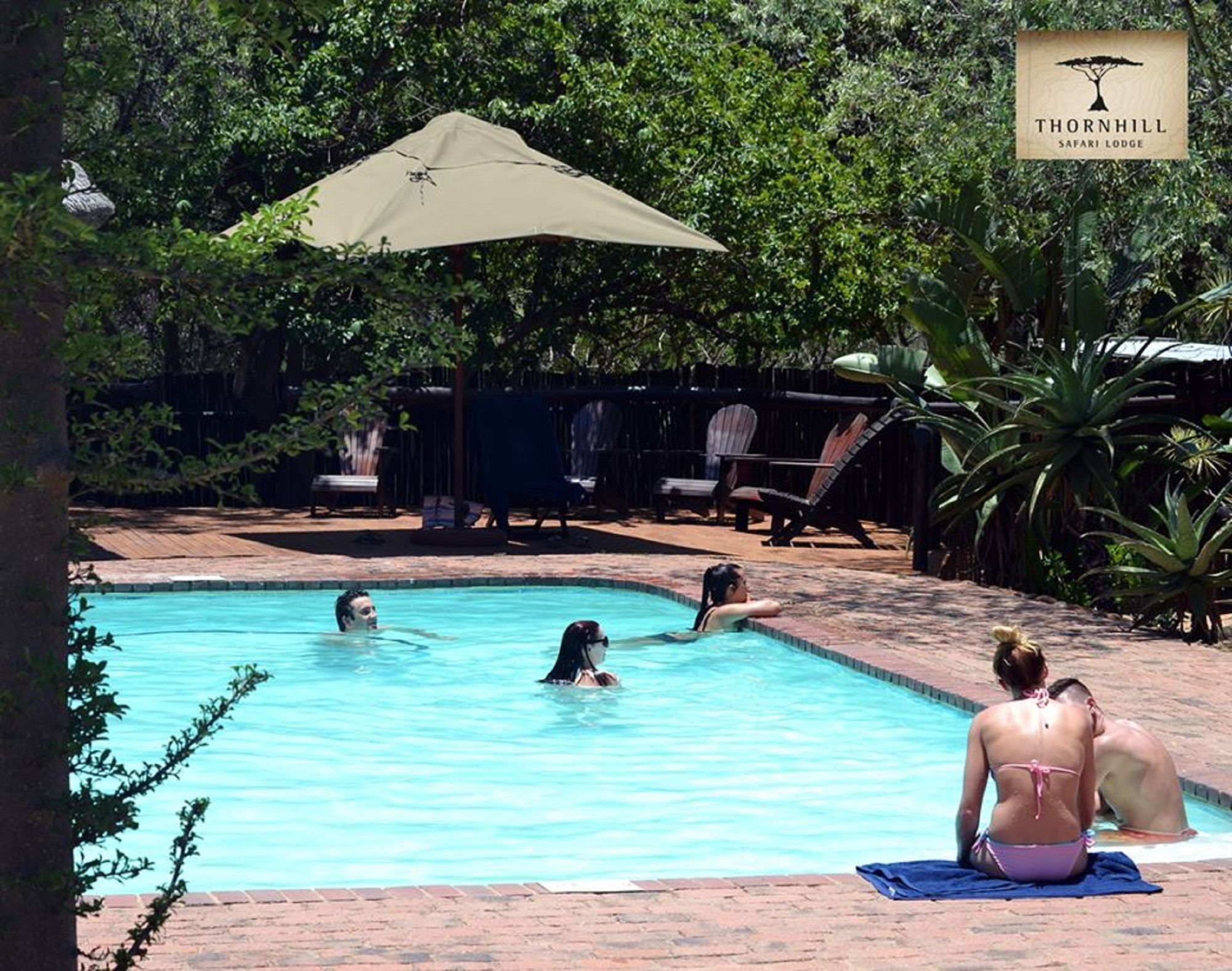 Thornhill Safari Lodge 侯斯普瑞特 外观 照片